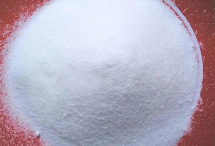 u=2199091741,2892654013&fm=253&fmt=auto&app=138&f=JPEG.webp (1).jpg